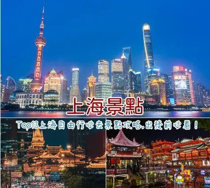 上海海昌海洋公园虎鲸剧场座位怎么选？临港亲子游这篇给你整明白